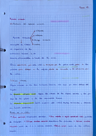 Tema-10.-Tecnicas-Basicas-de-Enfermeria..pdf