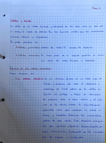 Tema-2.-Tecnicas-Basicas-de-Enfermeria..pdf