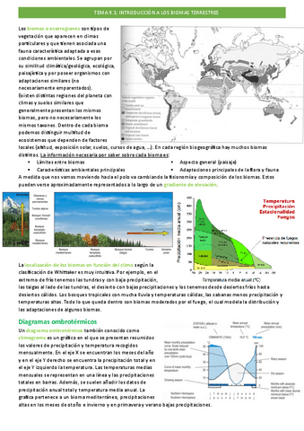 tema-9.1.pdf