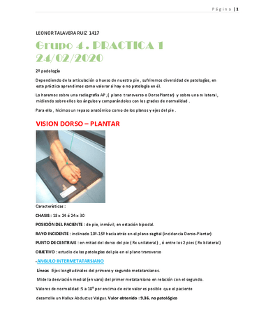 LEONOR-TALAVERA-1417-practica-1.pdf