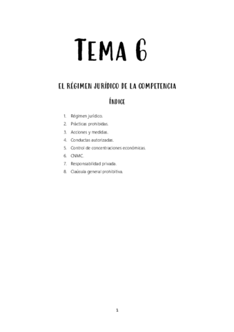 TEMA-6.pdf