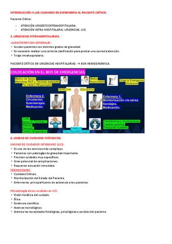 PACIENTE-CRITICO.pdf