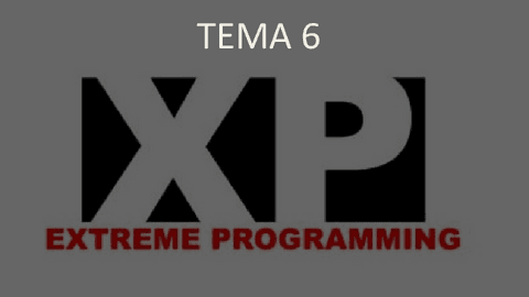 Tema-6-XP.pdf
