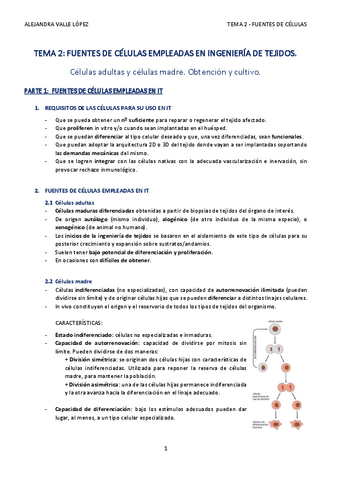 TEMA-2-AVL.pdf