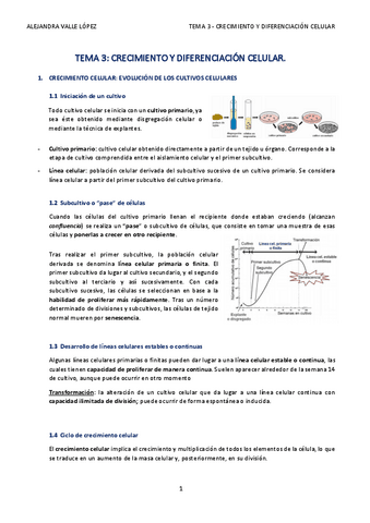 TEMA-3-AVL.pdf