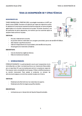 TEMA-13-AVL.pdf