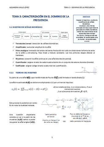 TEMA-3-AVL.pdf