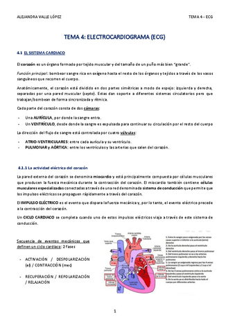 TEMA-4-AVL.pdf