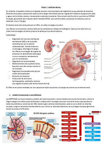 TEMA-6-EyFII.pdf