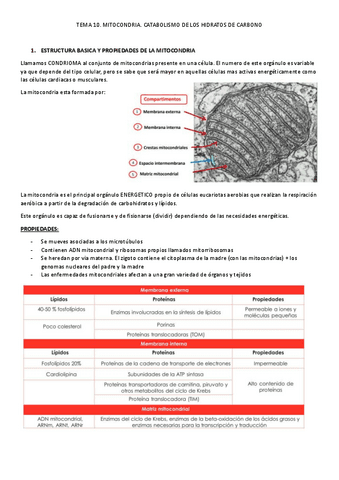 TEMA-10.-PROCESOS-II.pdf