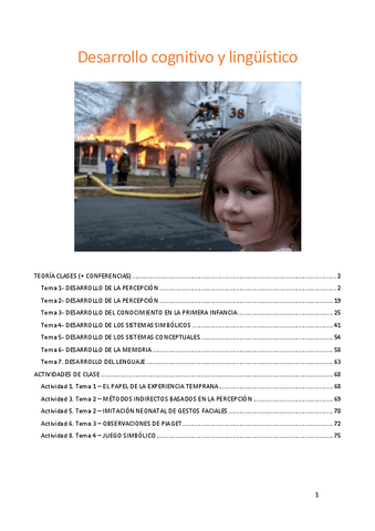 Teoria clases+ Conferencias + Actividades.pdf