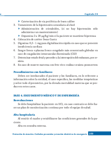 04.-S-Protocolos-de-atencion.-Cuidados-prenatales-y-atencion-obstetrica-de-emergencia-19.pdf