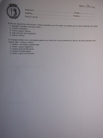 Foto 29-11-12 19 29 58.jpg