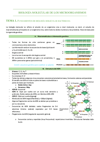 Apuntes-Biomol-buenos.pdf