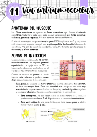 Tema-11.-Via-intramuscular.pdf