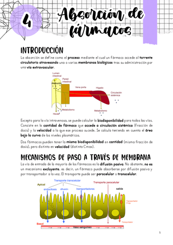 Tema-4.-Absorcion.pdf