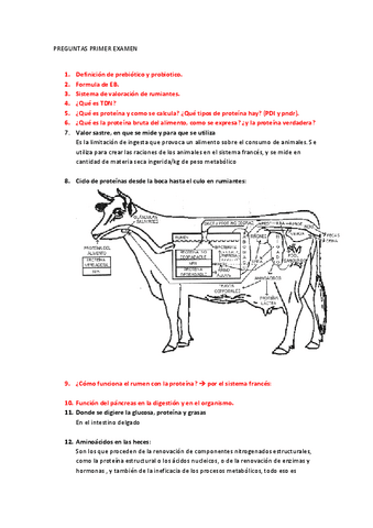preguntas-nutricion-examen-2.pdf