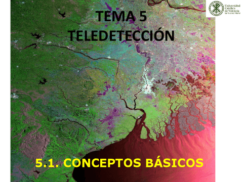 TEMA-51TELEDETECCIONConceptos-basicos.pdf