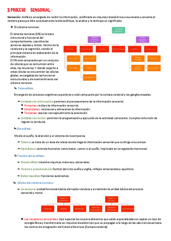 APUNTES-SENSACION-T3-Y-4.pdf