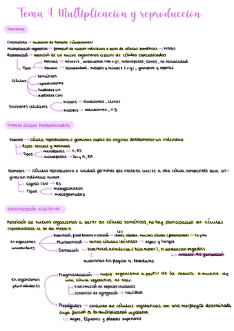 Tema-4-esquema.pdf