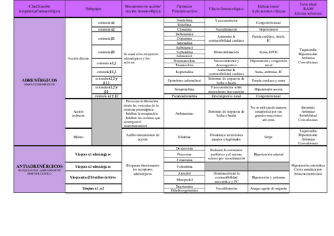 Sistema-Nervioso-Autonomo.pdf