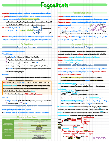 Inmuno-2.5-Fagocitosis.pdf