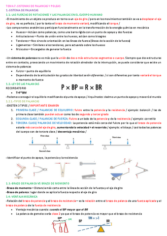 Tema-7.-Palancas-y-poleas.pdf