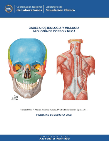 Guia-2-CABEZA-OSTEOLOGIA-Y-MIOLOGIA-MIOLOGIA-DORSO-Y-NUCA.pdf