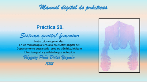 PRACTICA-28.-SISTEMA-GENITAL-FEMENINO.pdf