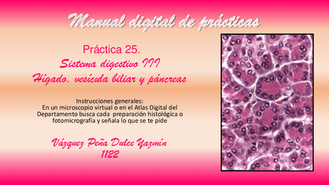 PRACTICA-25.-SISTEMA-DIGESTIVO-III.pdf
