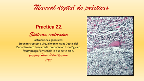 PRACTICA-22.-SISTEMA-ENDOCRINO.pdf