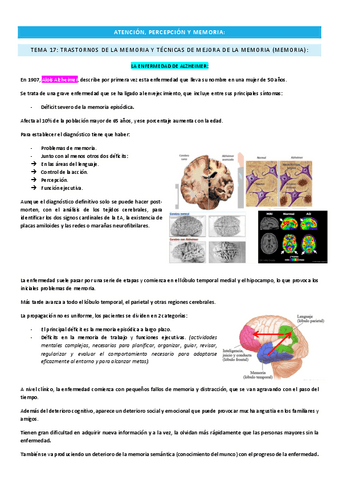 Tema-17-apm-memoria.pdf