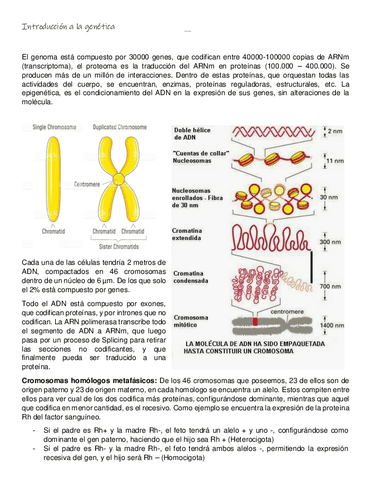 Introduccion-a-la-genetica.pdf