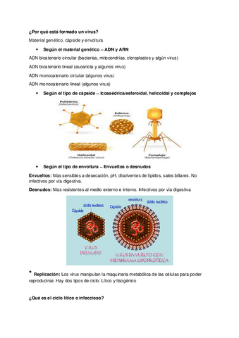 Tema-9-Virus.pdf