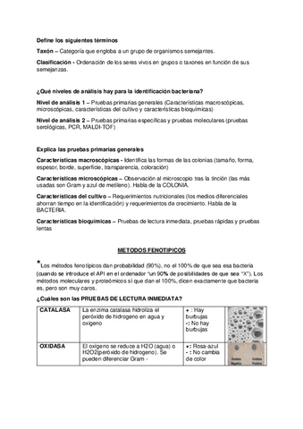Tema-4-Pruebas-bioquimicas.pdf