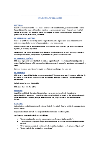 Principios-Juridicos-Basicos.pdf