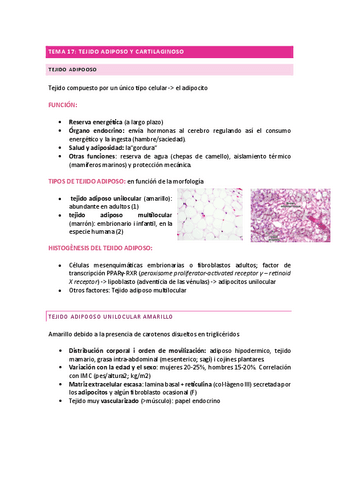 Tema-17-Castellano.pdf