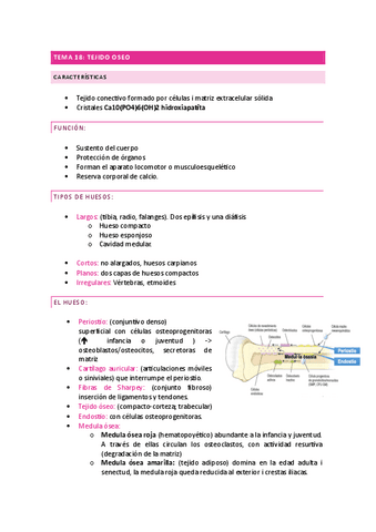 Tema-18-Castellano.pdf