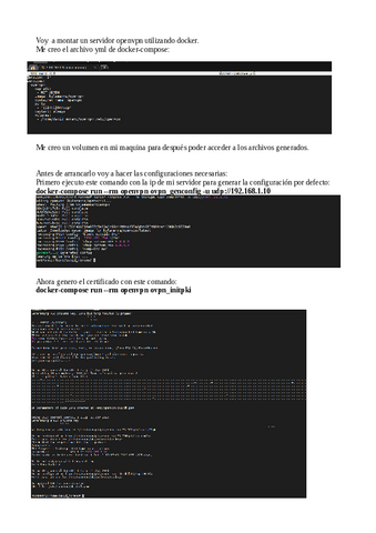 VPN con openvpn y docker en linux.pdf