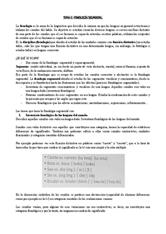 TEMA-5-FONOLOGIA-SEGMENTAL.pdf