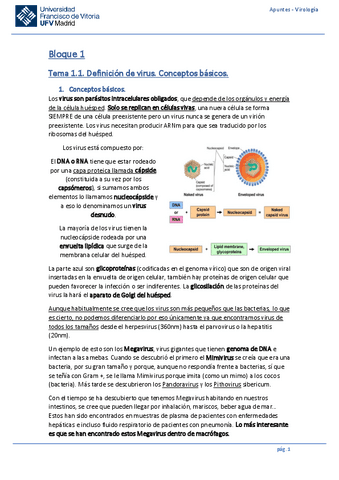 Apuntes-COMPLETOS-2023-Virologia.pdf