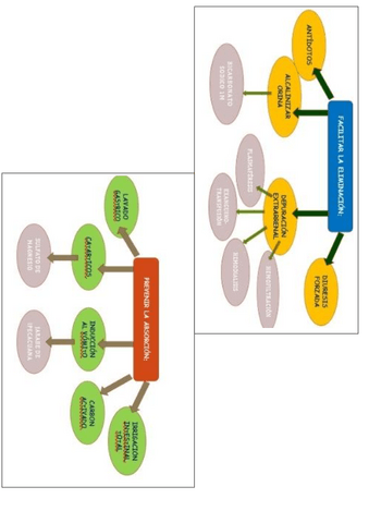 PRINCIPALES-TOXICOS.pdf