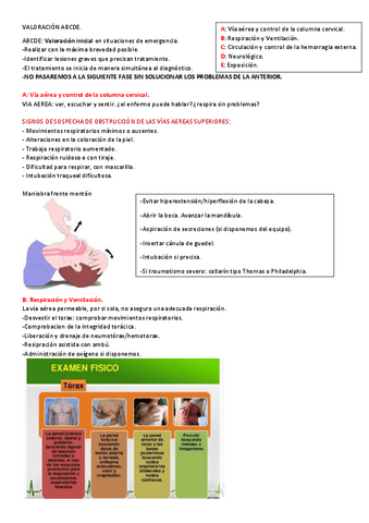 VALORACION-ABCDE.pdf