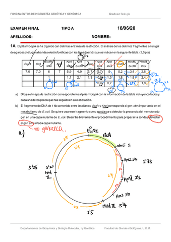Examen-FIG-2020-RESUELTO.pdf