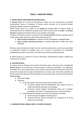 Tema-1-Derecho-Penal.pdf
