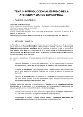 TEMA 5 APM.pdf