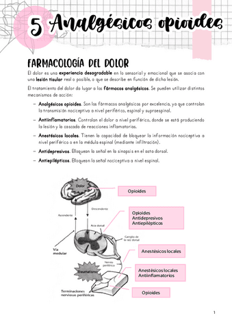 Tema-5.-Farmacos-opioides.pdf
