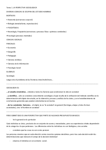 tema 1 redactado.pdf