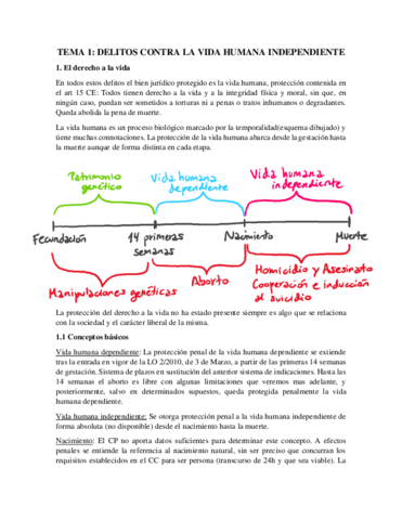 Tema 1. Delitos contra la vida independiente.pdf