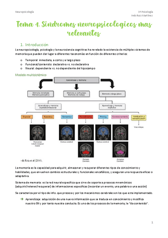 Tema-4.-Amnesias.pdf